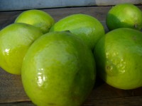 /album/recepten-hartig-en-zoet/eetfoto-s-027-jpg/